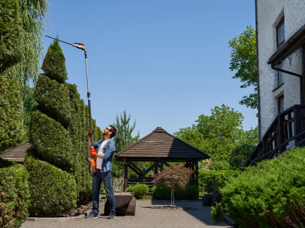 skilful-male-landscaper