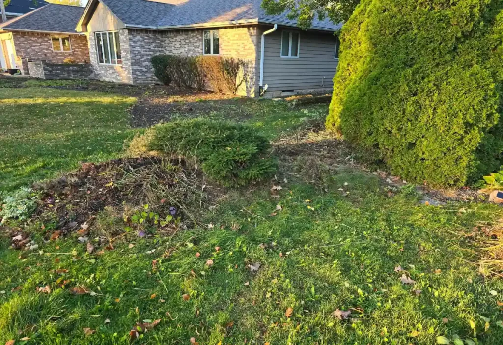 Backyard Before Landscape Installation