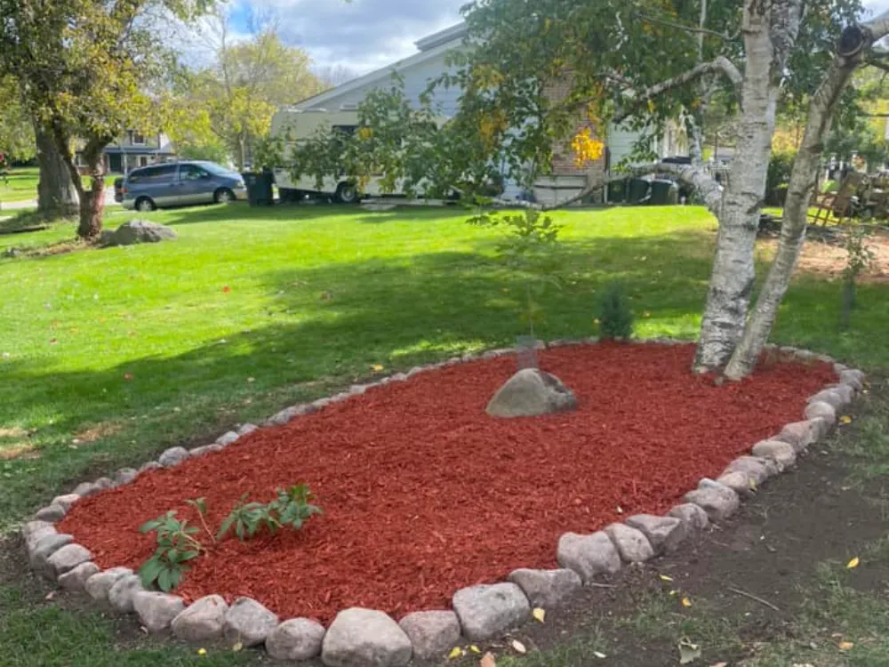 Clean Lawn After Seasonal Yard Cleanup