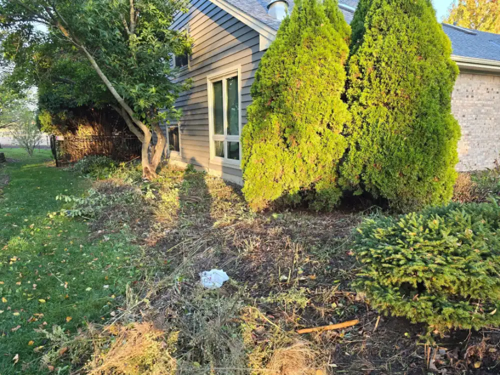 Landscape Project Before Installation