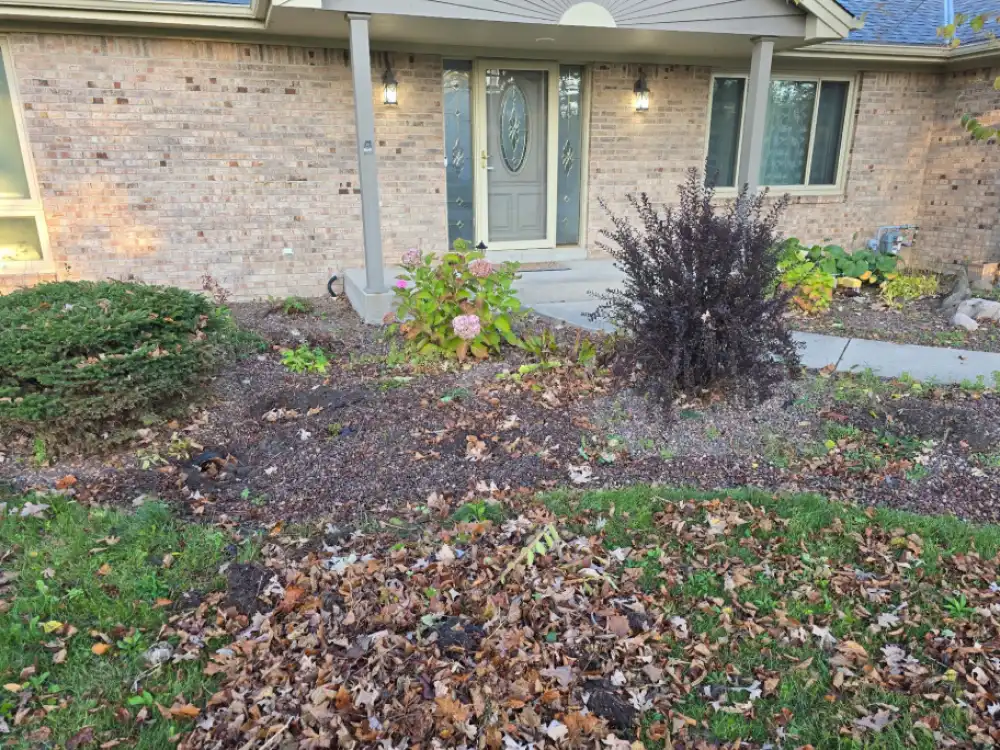 The Overgrown Garden Bed