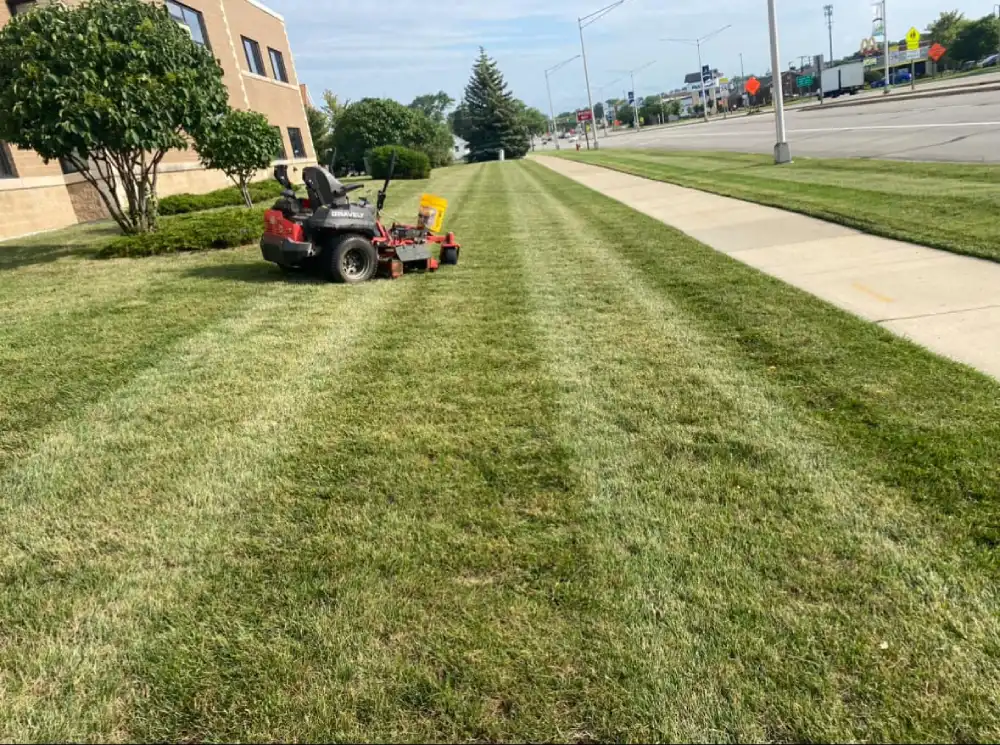 lawn care mowing edging services