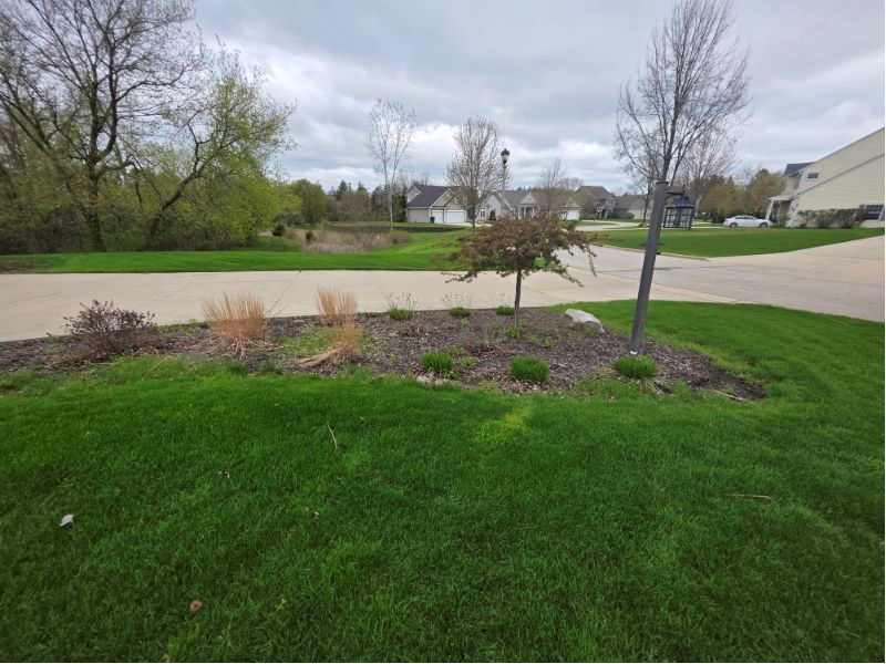 Front yard before edging with stone